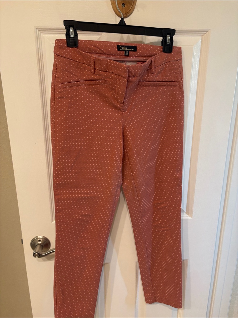 Dalia Slim Polka Dot Pants in Terracotta with White Dots